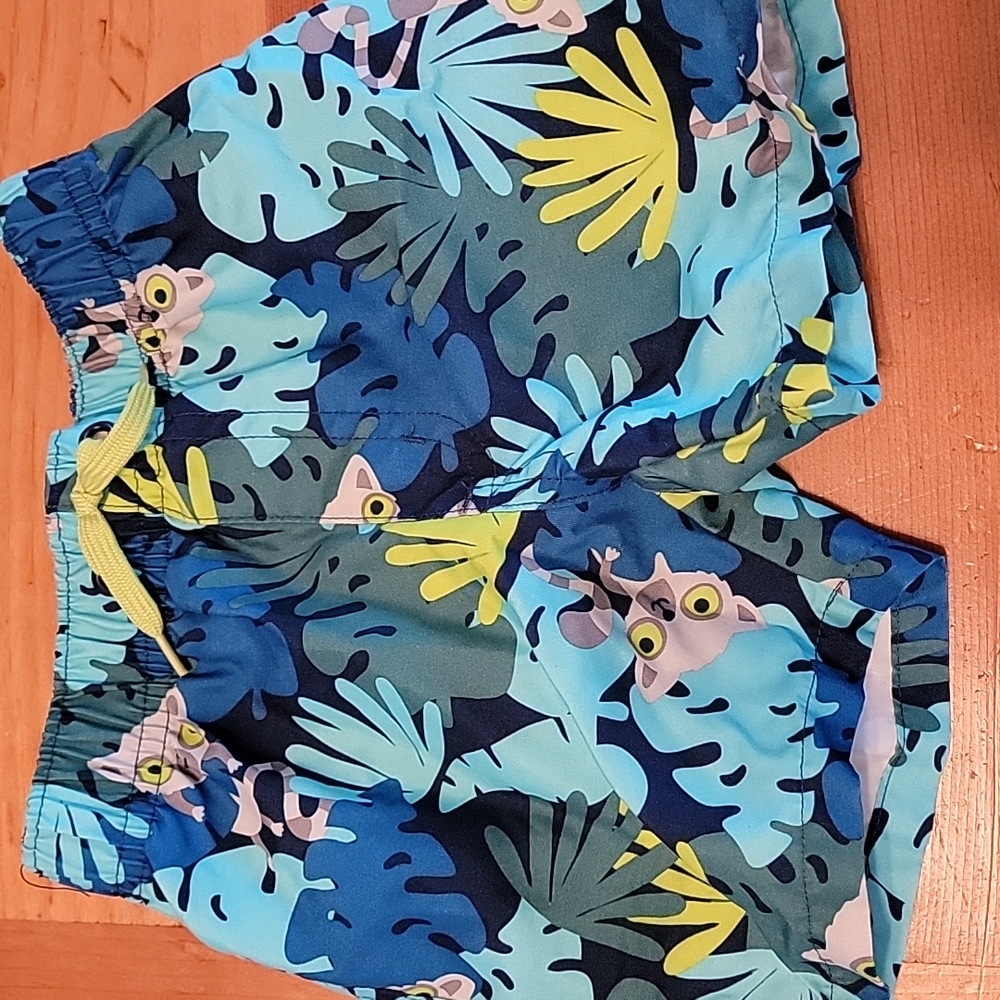 Gymboree Boys swimsuit
